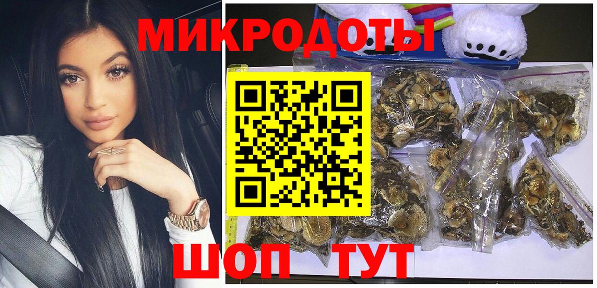 Псилоцибиновые грибы Psilocybe Тобольск