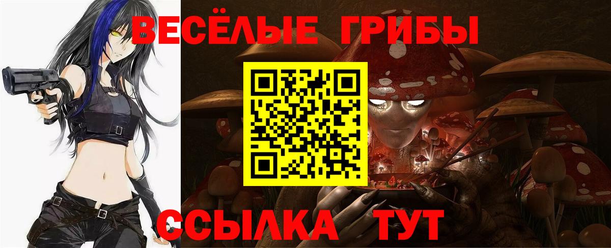 Псилоцибиновые грибы MAGIC MUSHROOMS  Вход с VPN  Тобольск 