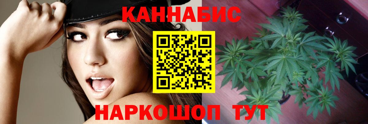 Конопля OG Kush Тобольск